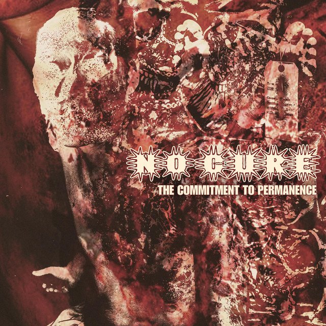 No Cure — The Commitment To Permanence album artwork