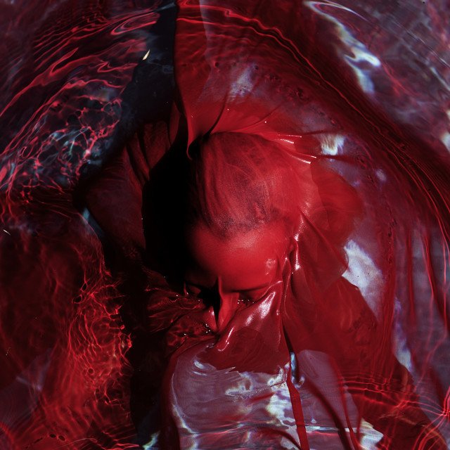 Blackwater Holylight — Not Here Not Gone album artwork