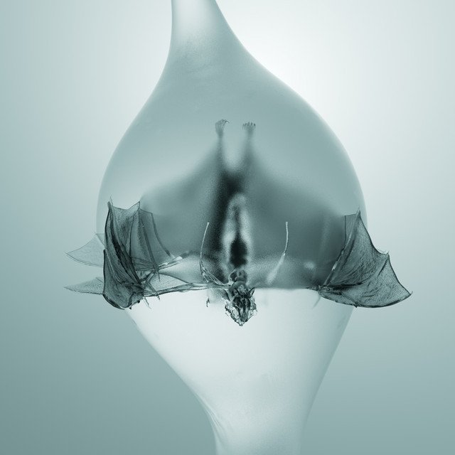 Unprocessed — Angel album artwork