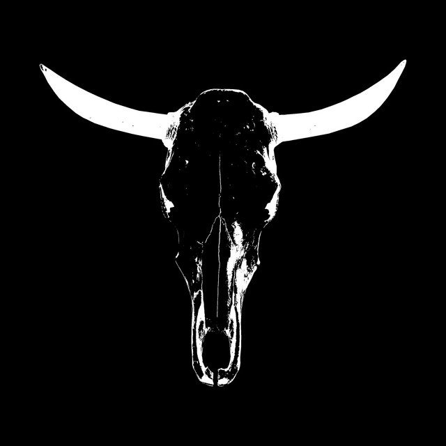 Holywatr — red heifer album artwork