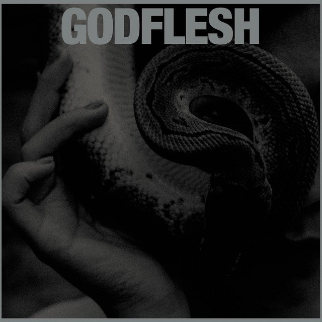 Godflesh — PURGE album artwork