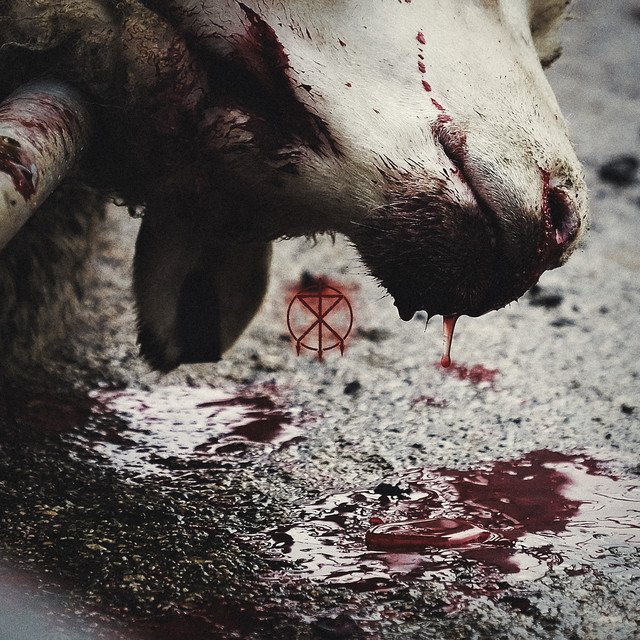 To The Grave — Director's Cuts album artwork
