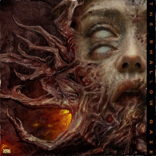 Distant — The Shallow Gaze album artwork